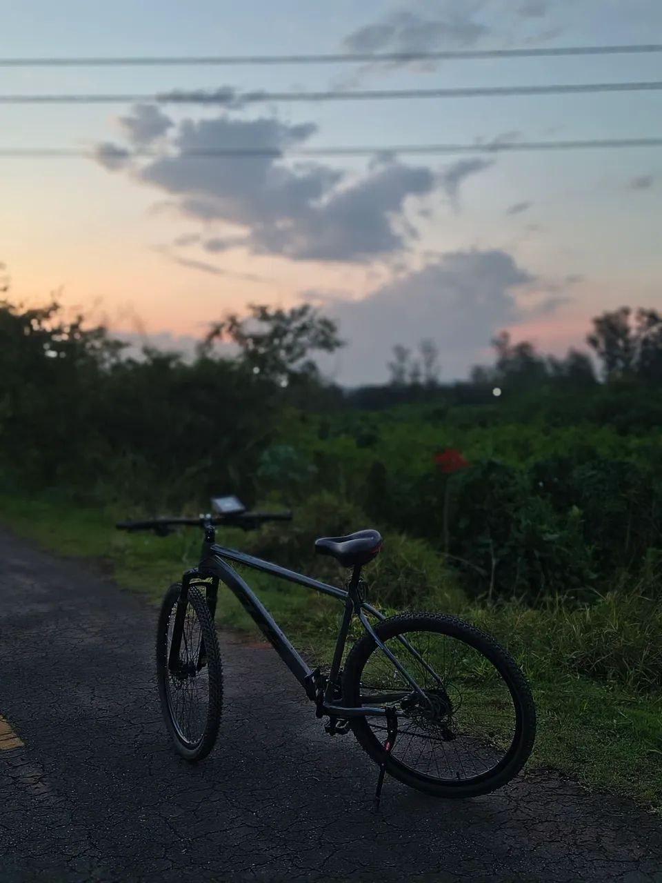 Bicicleta GTS Dexter.