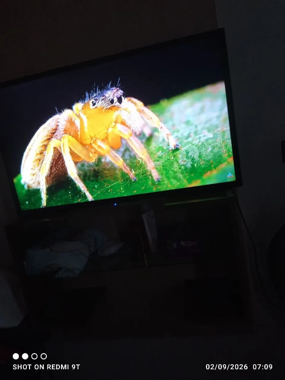 Monitor para Pc 32 polegadas / tv aoc