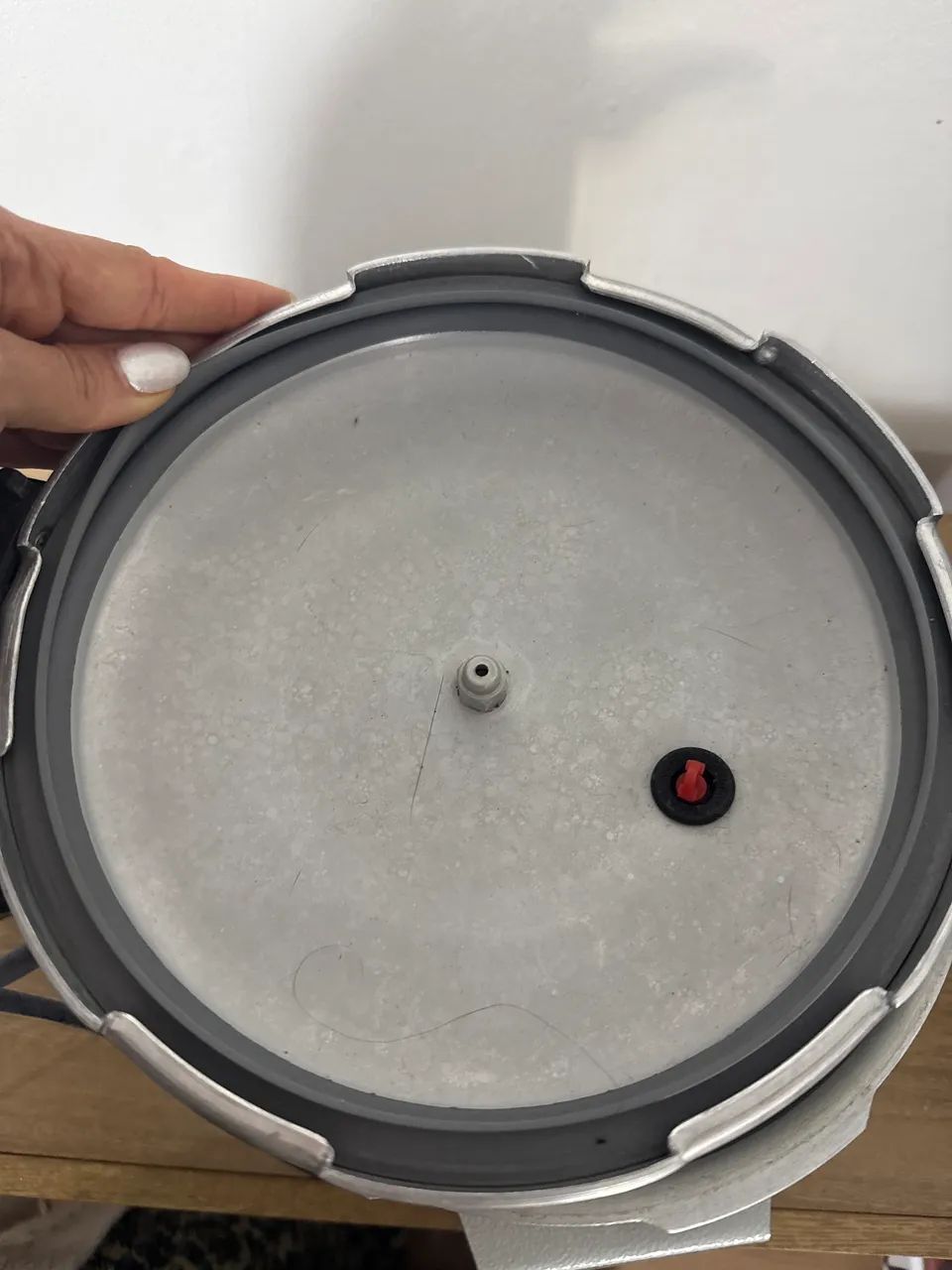 Autoclave - Foto 2