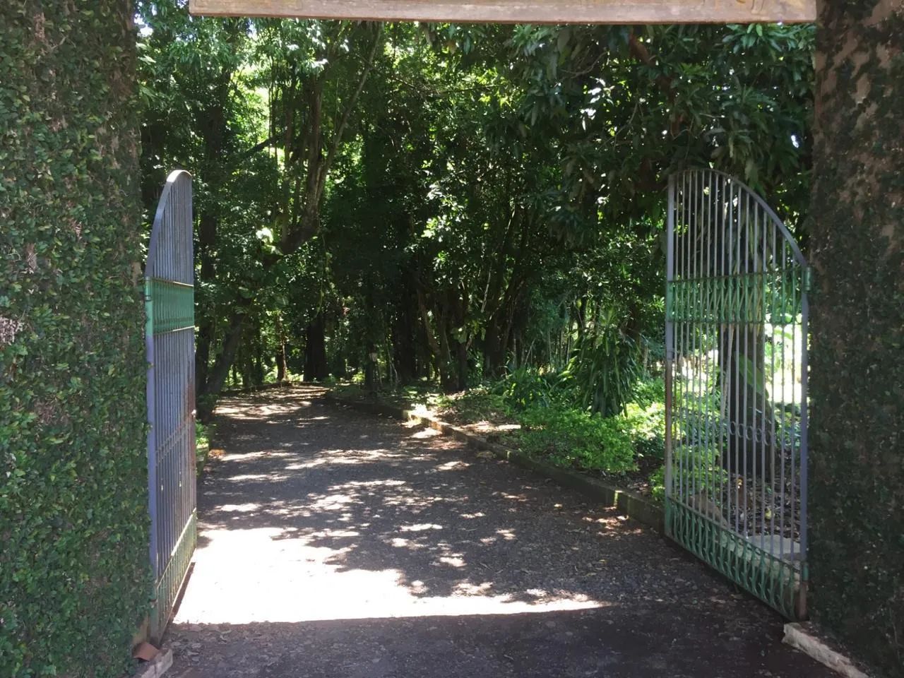 Aluga se chácara pra diária e temporada - Foto 5