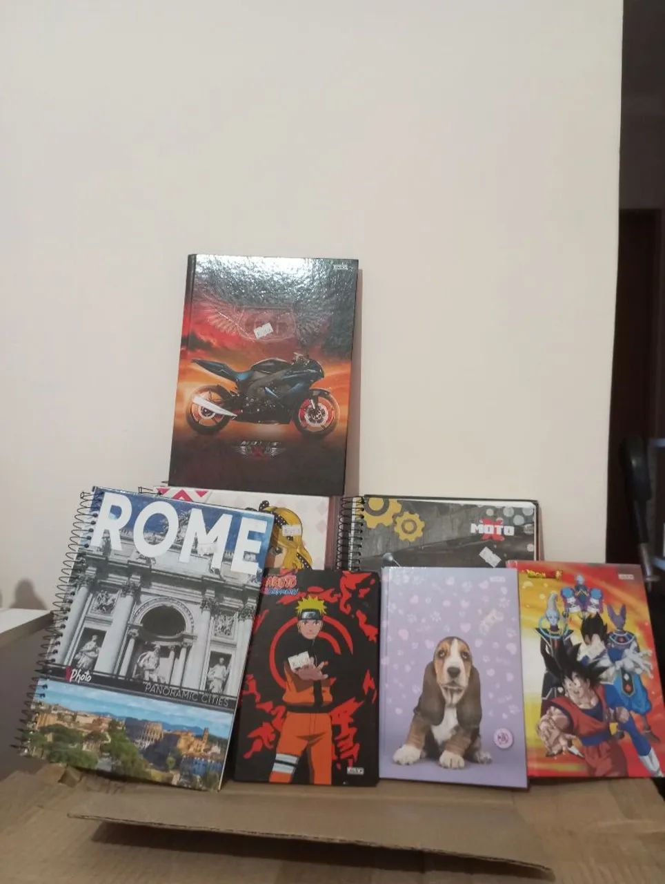 cadernos escolar 