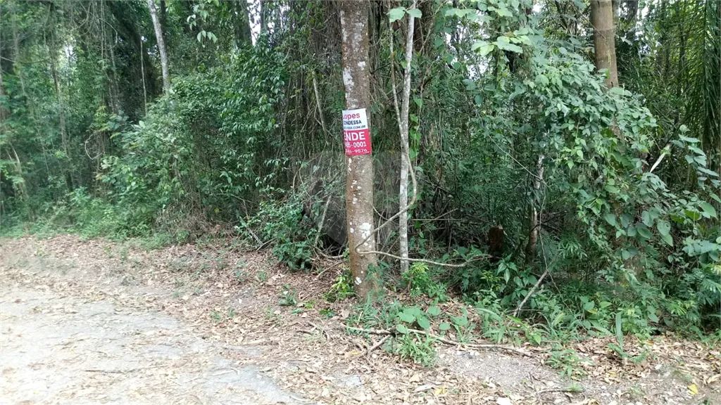 Terreno à venda em Santa inês - SP - Foto 3