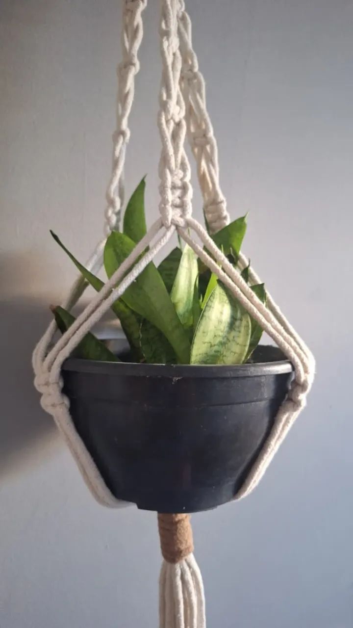 Suporte de planta - Foto 2