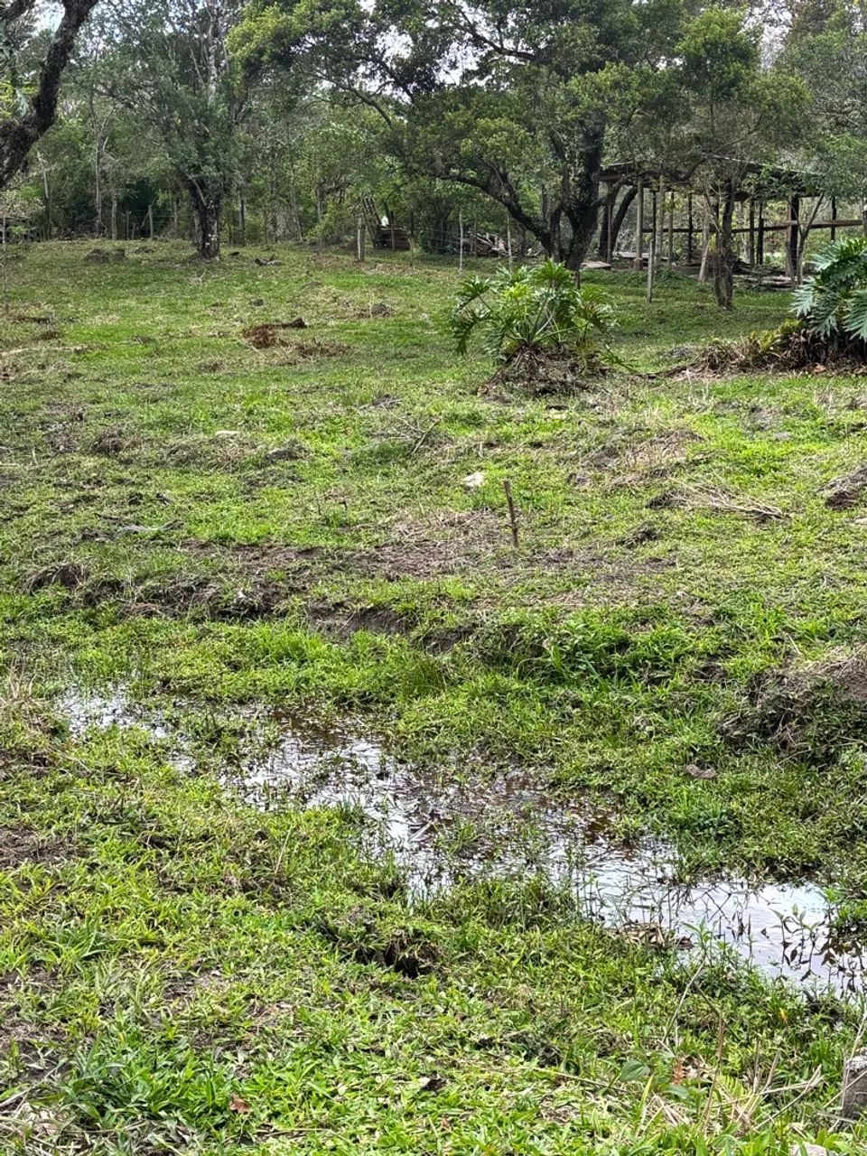 Sítio/terreno