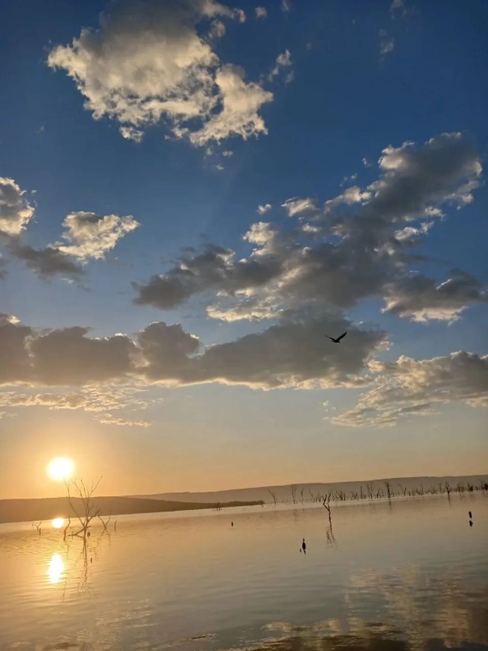 CHACARA A BEIRA LAGO - OPORTUNIDADE IMPERDIVEL 1000M2 - Foto 2