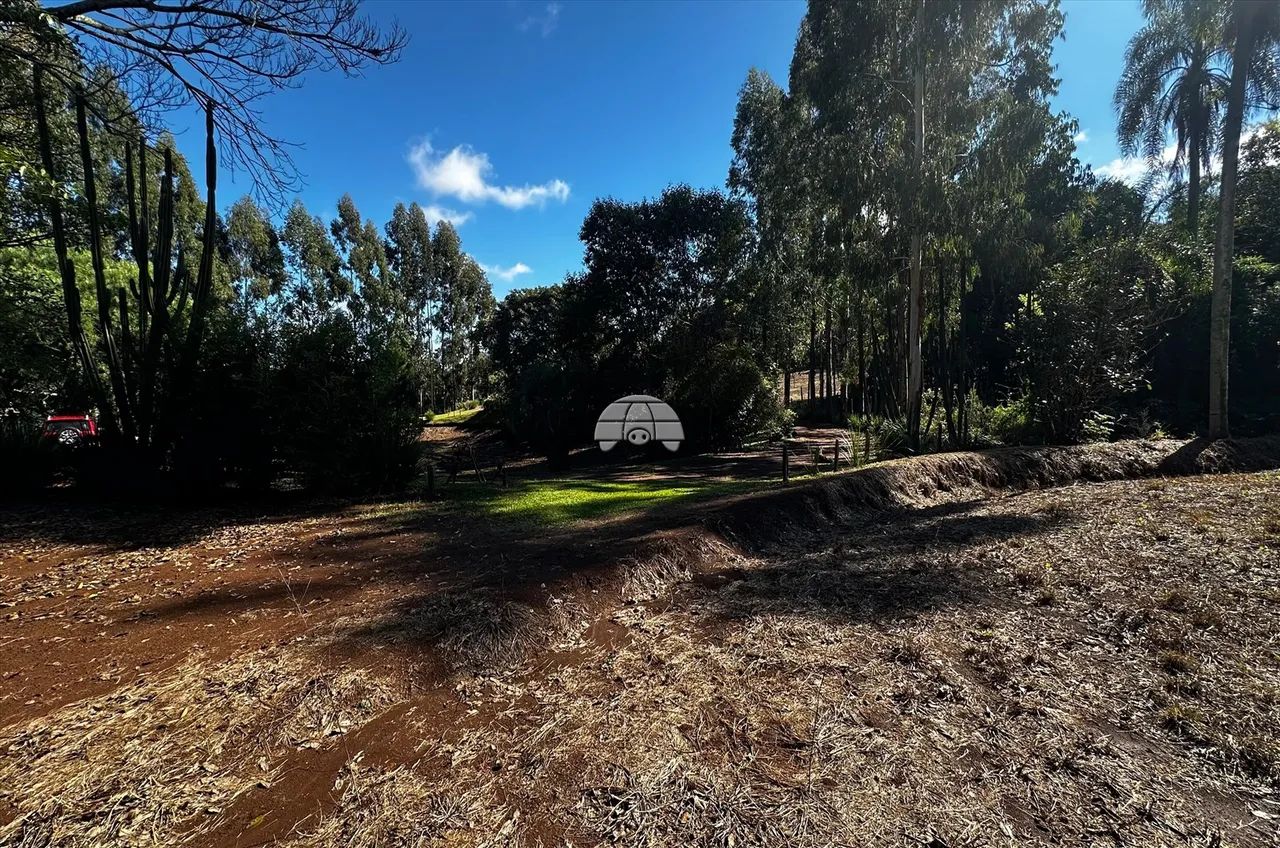 Vendas Área Pato Branco PR - Foto 3