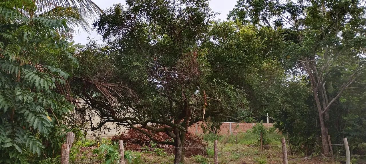 Lote na Lagoa Redonda - Foto 2