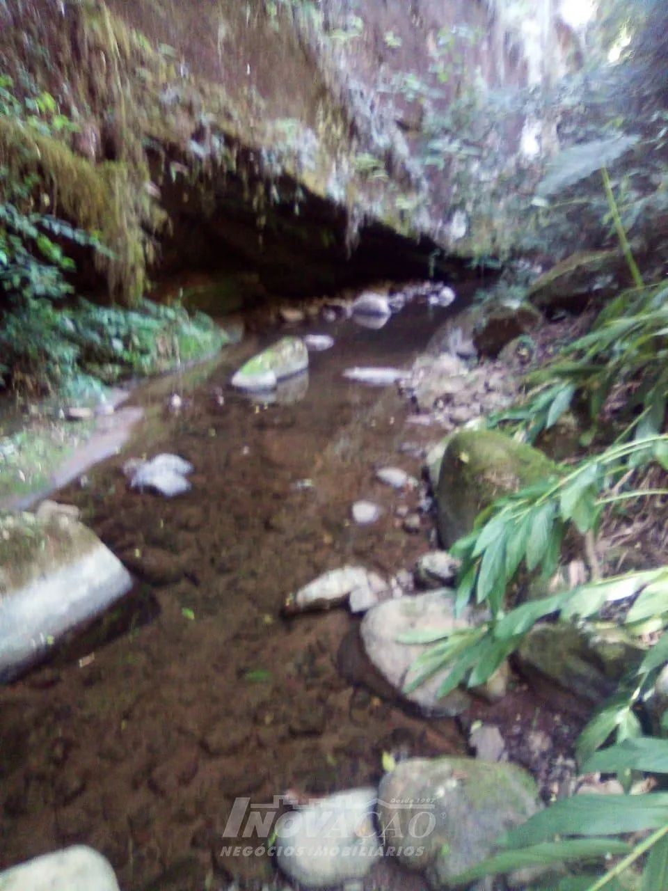 Chácara Vale do Rio Cai (Nova Petrópolis) Nova Petrópolis - Foto 2