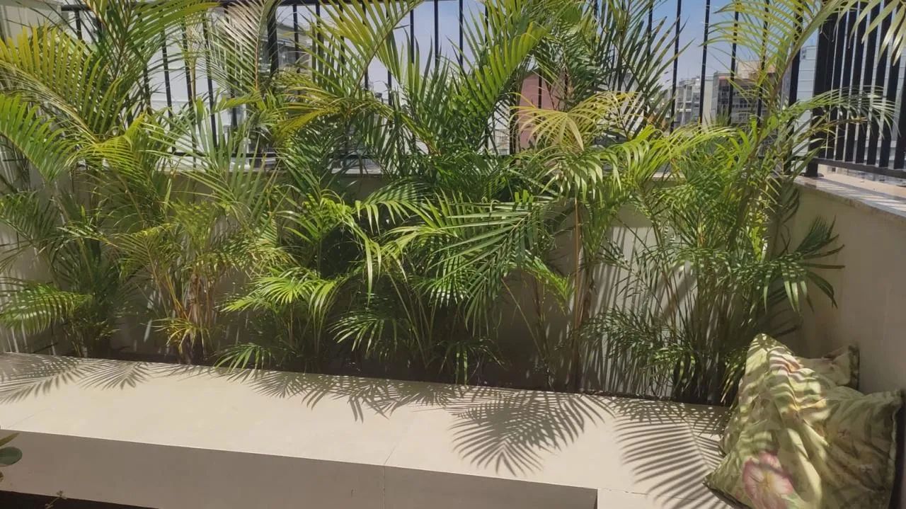 Projeto jardim tropical completo  - Foto 5