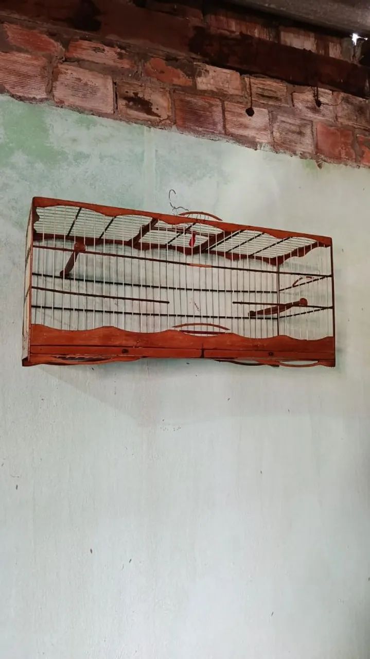Voador 80cm 
