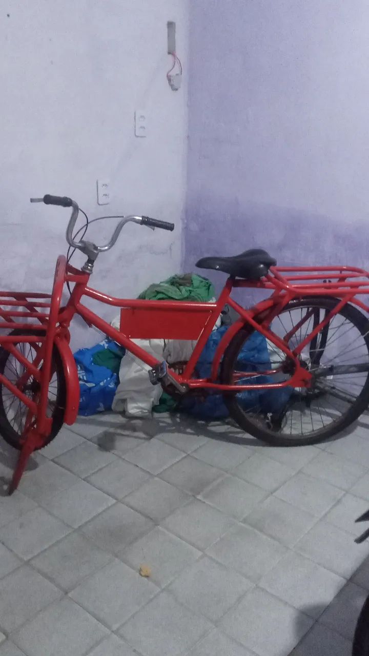Bicicleta cargueira 