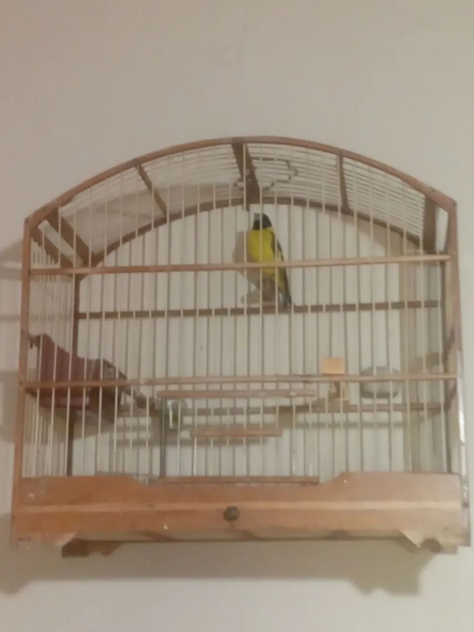 Gaiolas para vender  - Foto 2