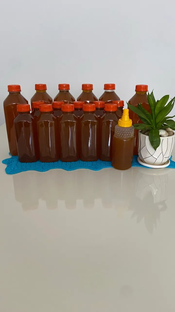 VENDO MEL DE ABELHA EUROPA 100% PURÍSSIMO ( ATACADO E VAREJO)  - Foto 4