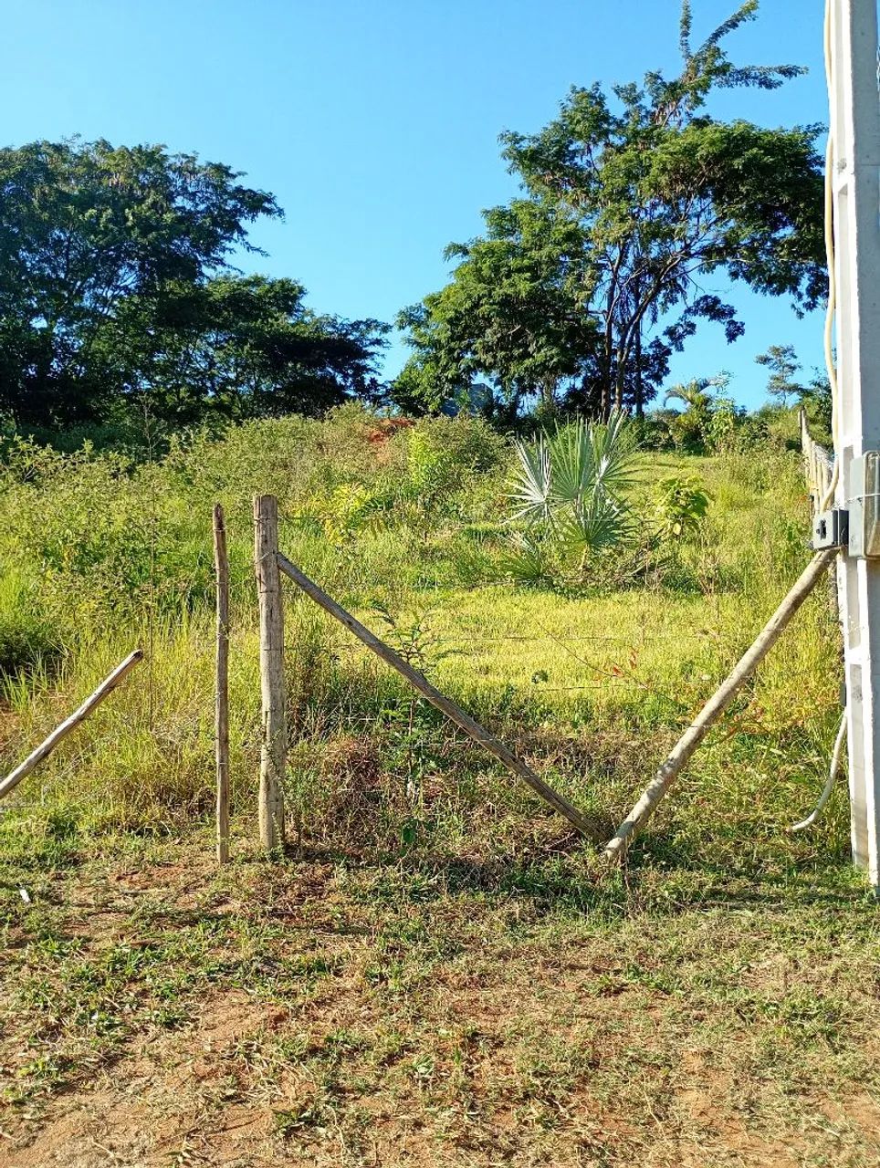 Limpeza de terrenos e quintais e corte de árvore e faço serca   - Foto 5
