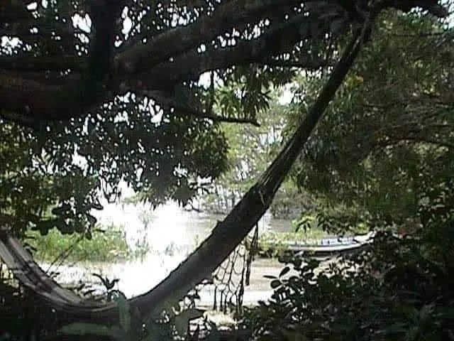 Ilha do caratateua - Foto 2