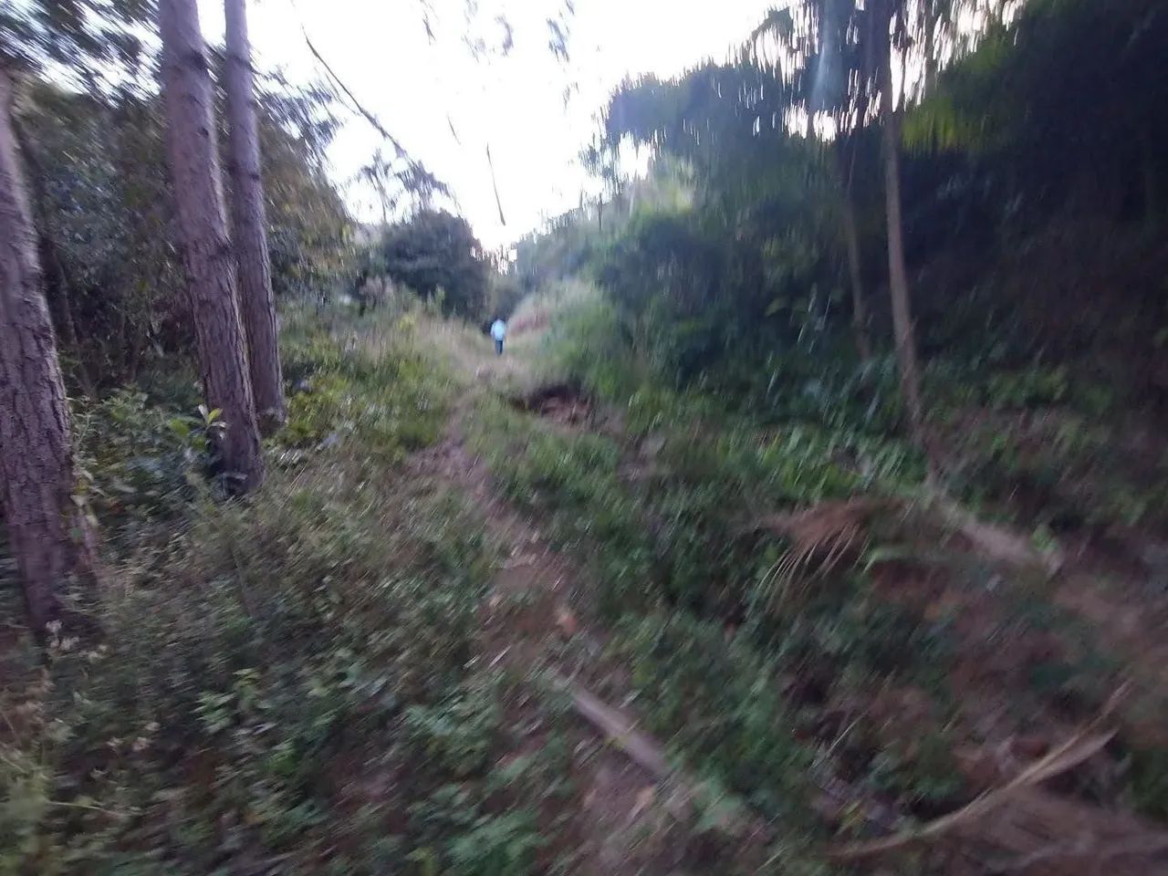 Chácara 10 mil metros quadrados  - Foto 4