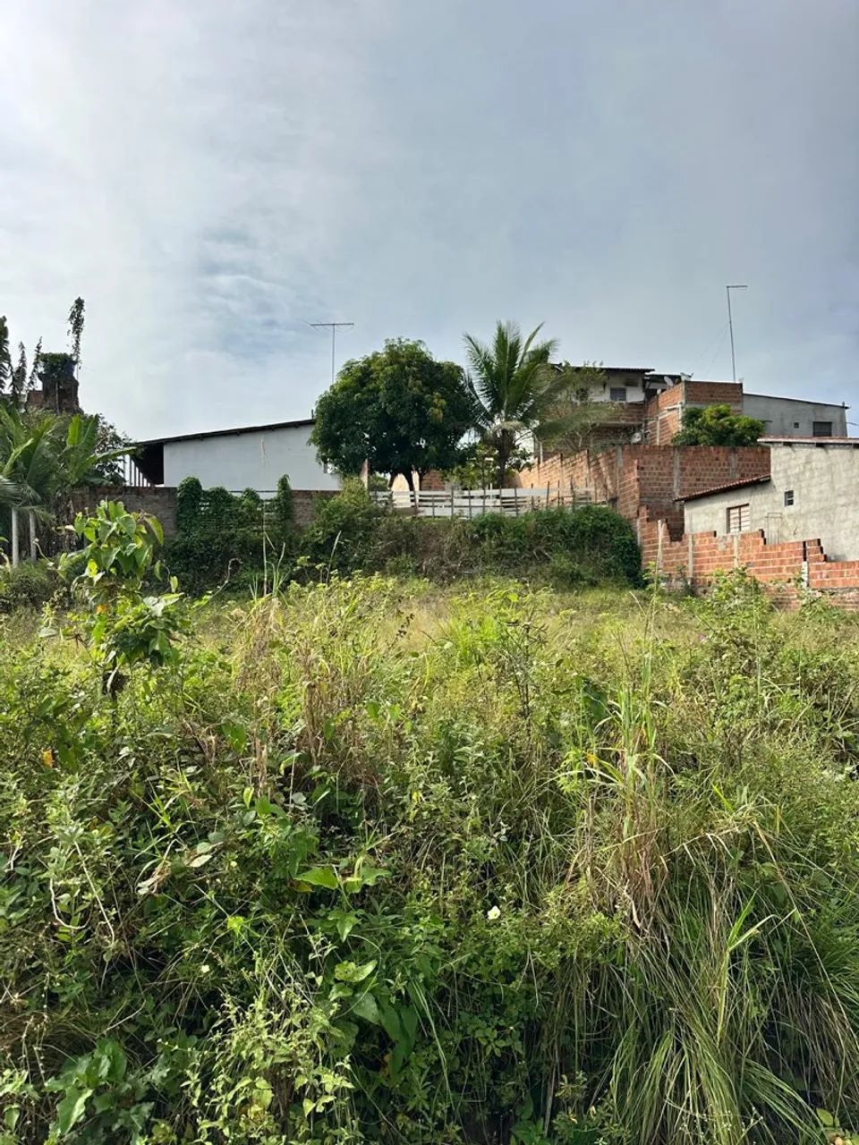 TERRENO 10x25 - Foto 3