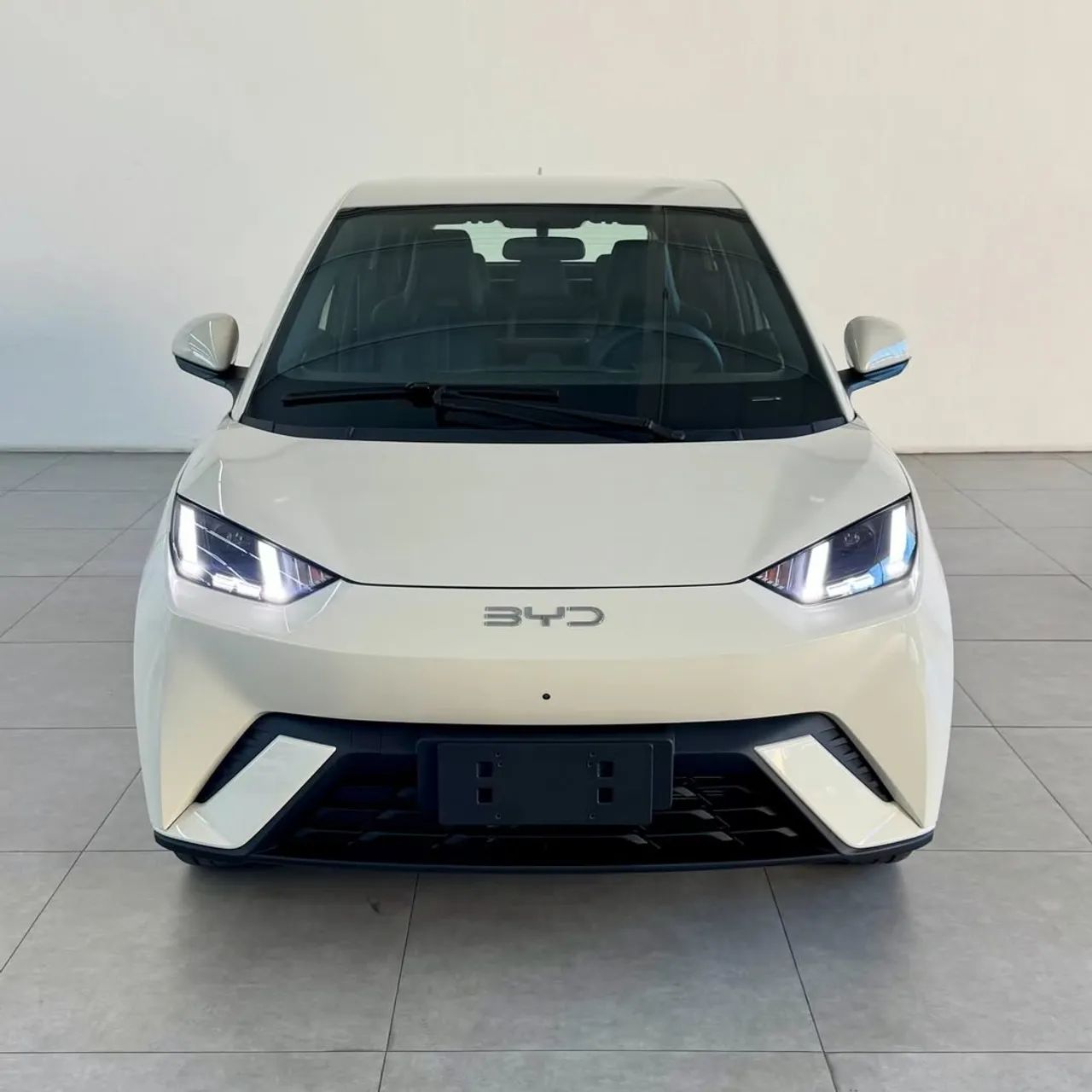 BYD Dolphin Mini (Elétrico) 2025