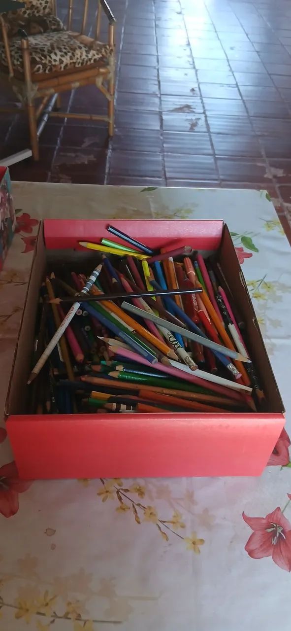 Mais de 300 lápis 