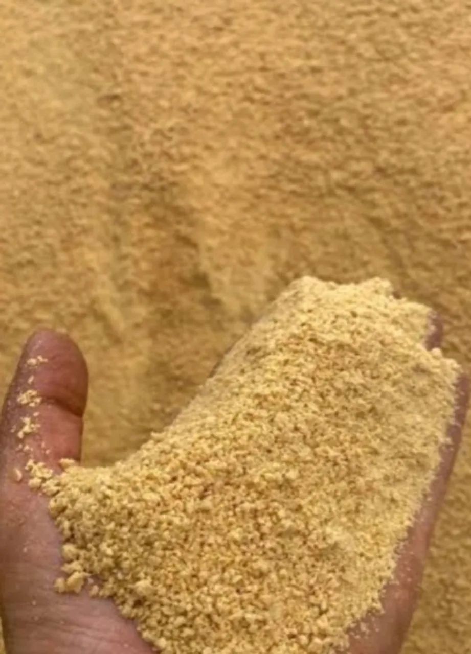 Milho Safra Nova Direto da Fazenda,Fazemos entrega em todo Brasil - Foto 4