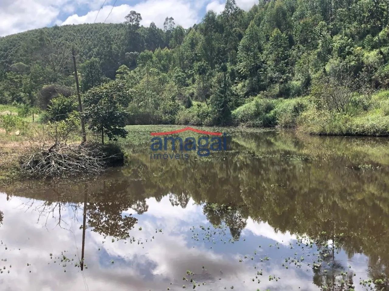 Oportunidade em Salesópolis - SP (Sítio) - Foto 2