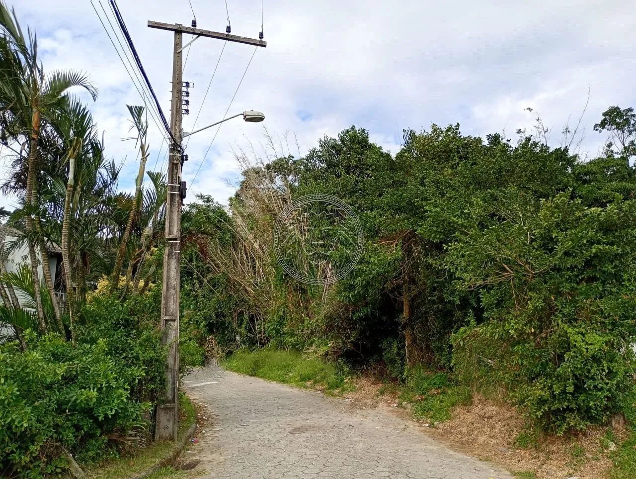 Terreno de 28530m² no Ribeirão da Ilha - Foto 3