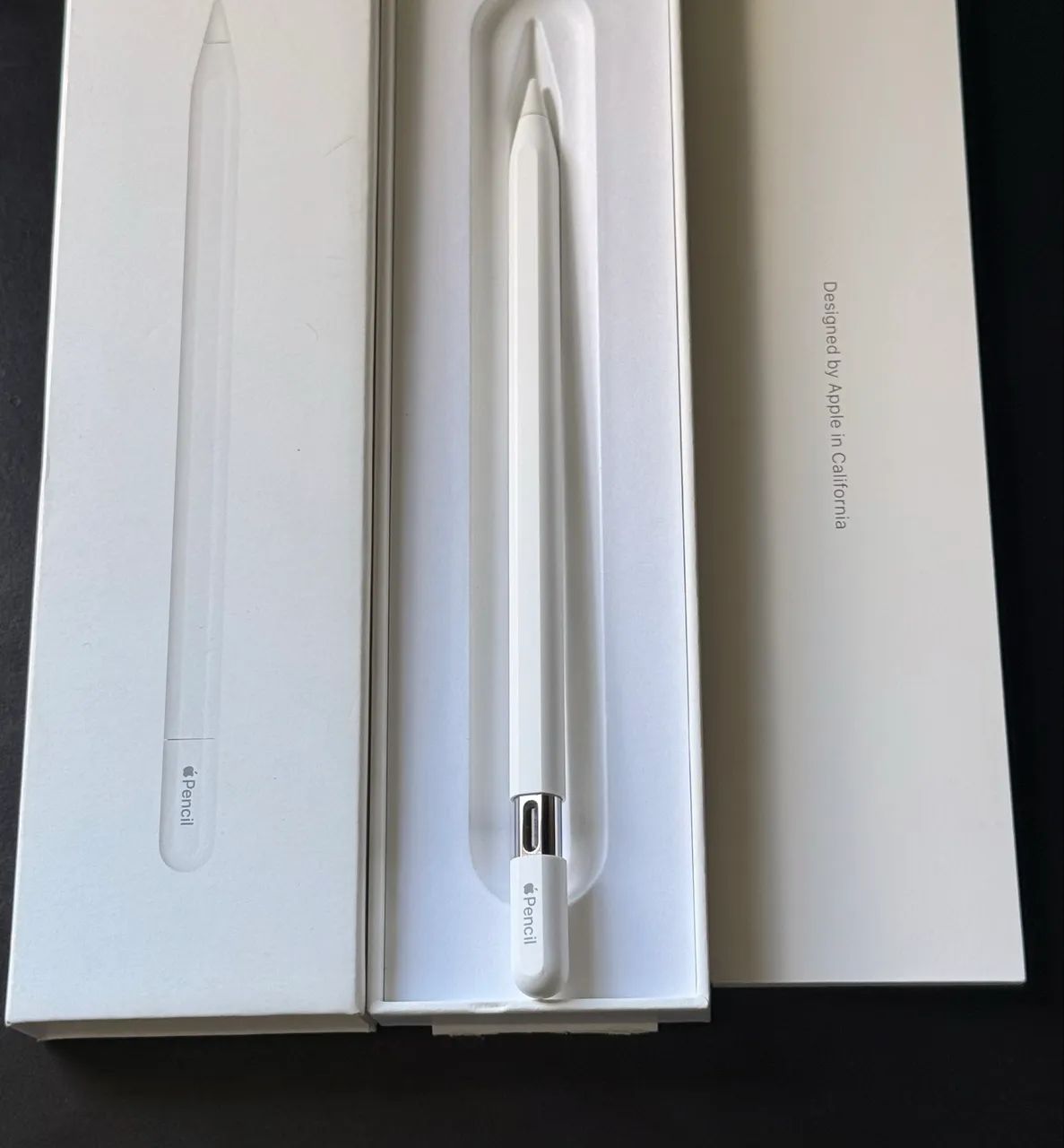 Apple Pencil (USB-C) Original  - Foto 3