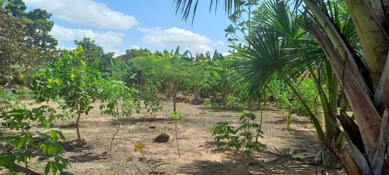 Vende-se terreno  - Foto 4