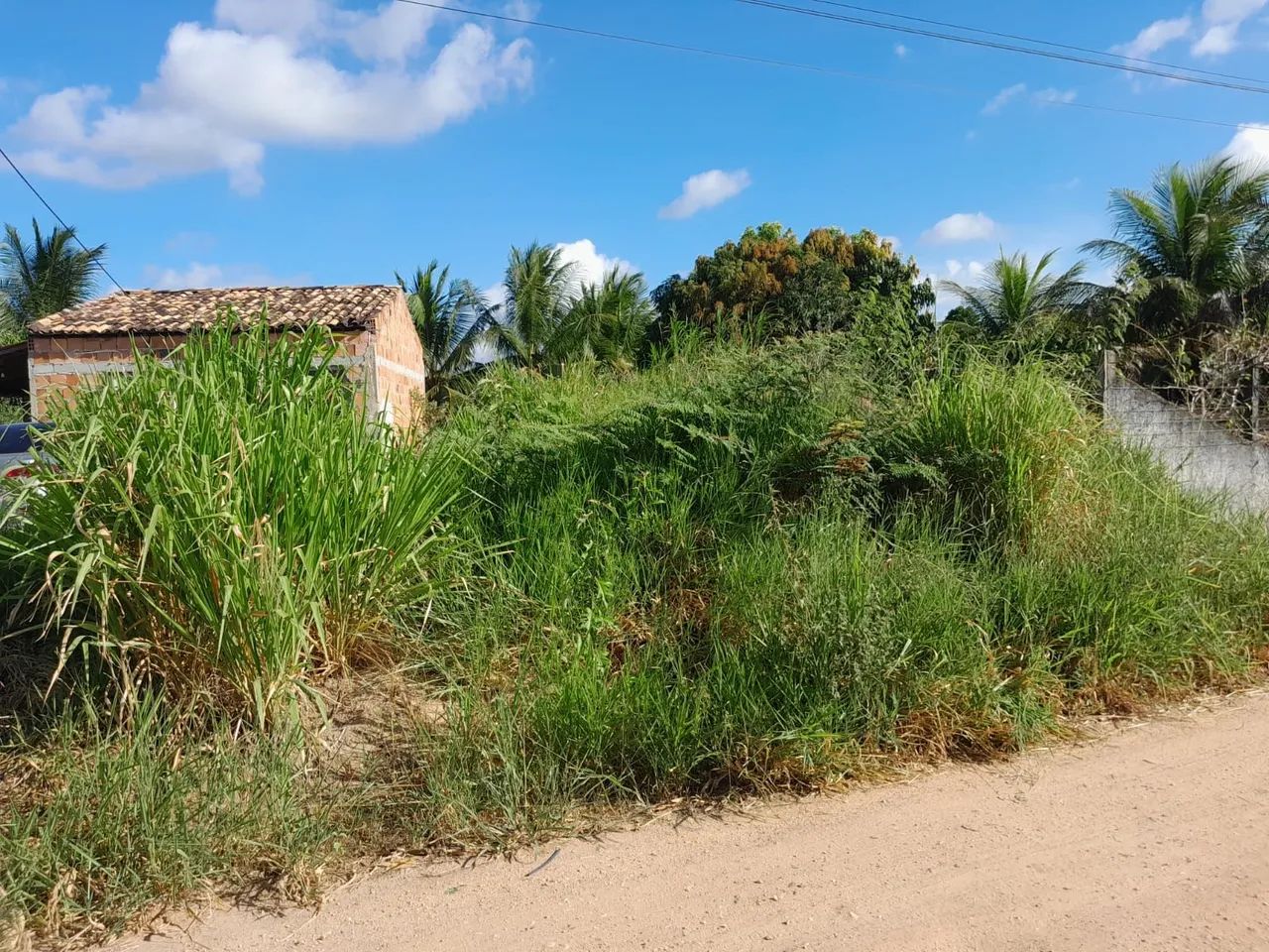 Terreno Lote em Salgado-SE 