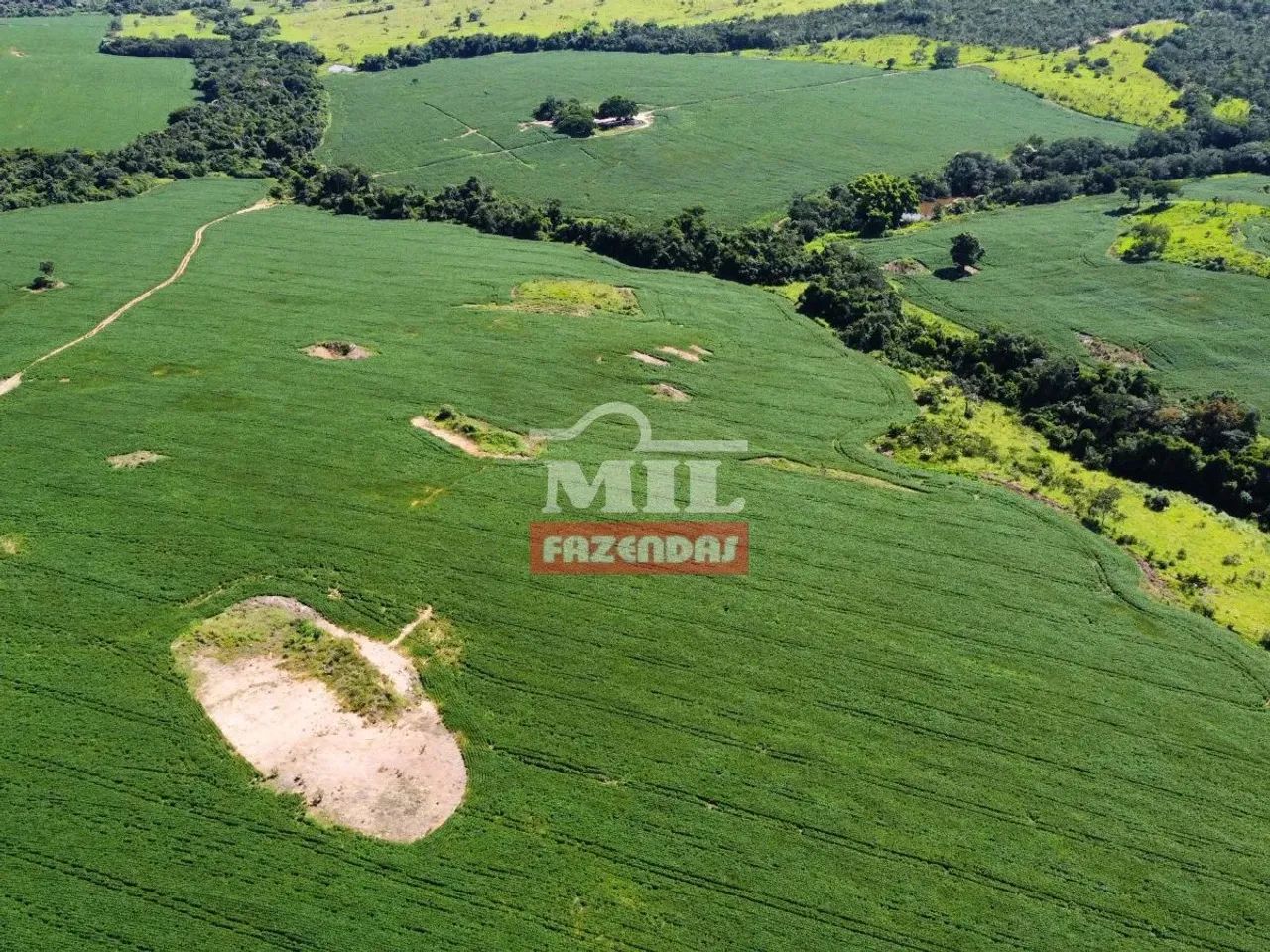 Fazenda 33,5 alqueires (161 hectares) Ipameri - GO