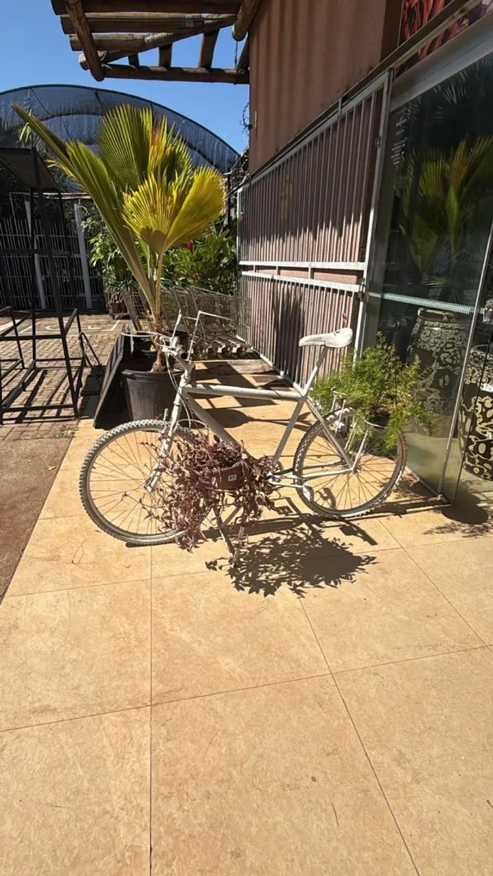 Bicicleta decorativa - Foto 2