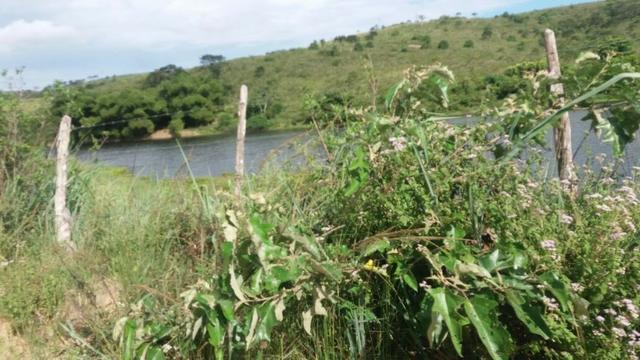 Propriedade com 2 casas de 13 hectares, em Sairé, 700 mil - Foto 5