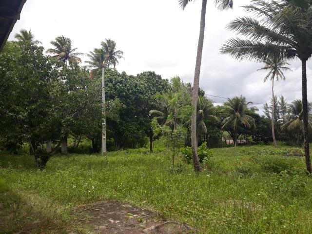 Oportunidade de Chácara, com 5,2 ha, há margem da RN 316, em Monte Alegre/RN - Foto 2