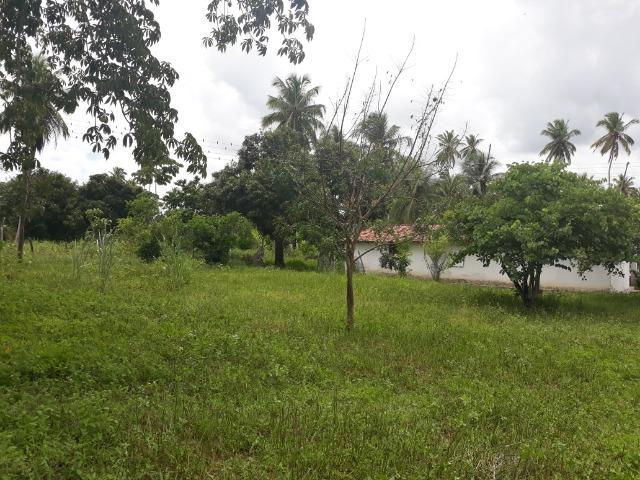 Oportunidade de Chácara, com 5,2 ha, há margem da RN 316, em Monte Alegre/RN - Foto 12