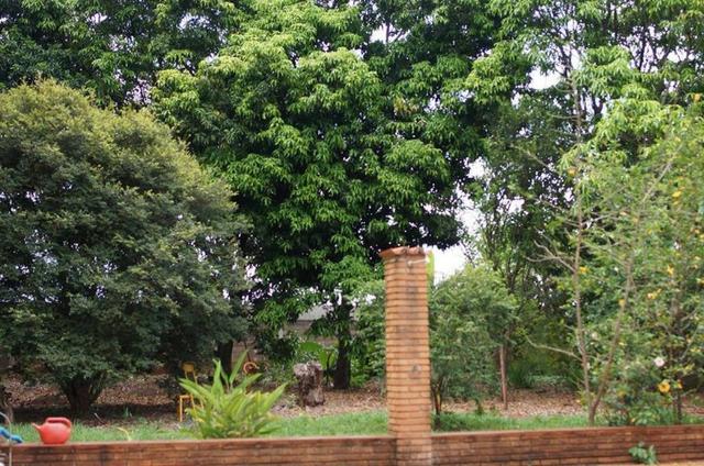 Chácara condomínio Fechado com Pomar, Piscina, Casa 2 Qts, Sala, Cozinha - Jardinópolis - Foto 10
