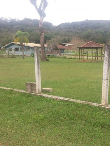 Chácara à venda em Cerne, Campina grande do sul cod:CH00011 - Foto 10