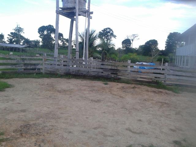 Fazenda em Autazes 750.000 - Foto 6