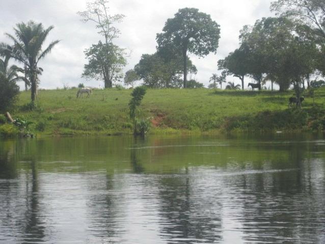 Fazenda em Autazes 750.000