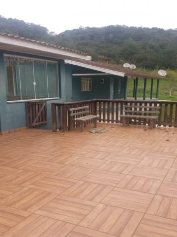 Chácara à venda em Cerne, Campina grande do sul cod:CH00011 - Foto 20