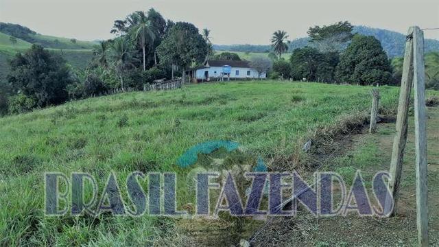 Fazenda em Itamaraju - Foto 9
