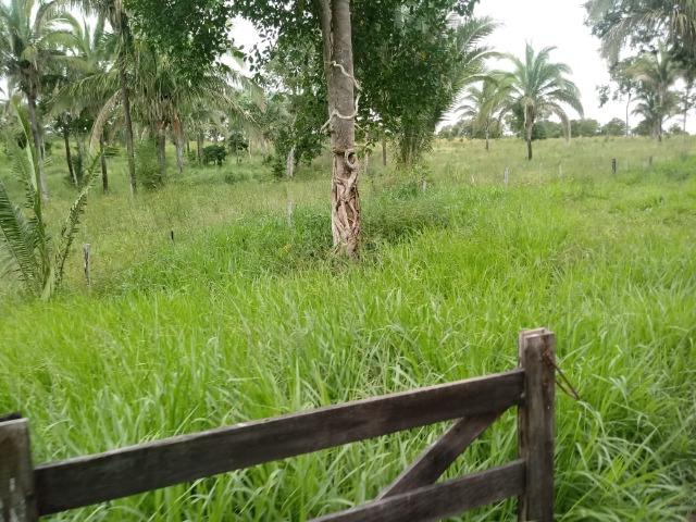 Fazenda para Pecuária em Livramento a 51 km de Cuiabá - Foto 15