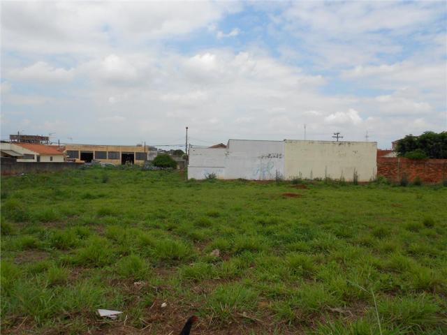 Terreno à venda, , vila molon - americana/sp - Foto 2