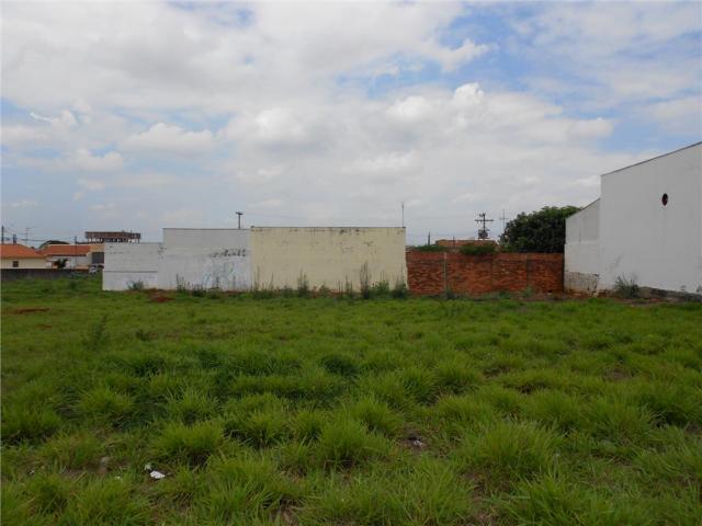Terreno à venda, , vila molon - americana/sp - Foto 8