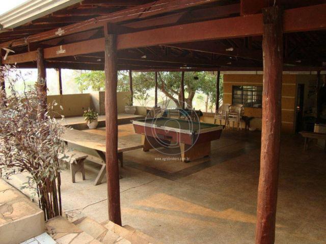 Sitio 52 hectares santo antonio - Foto 14