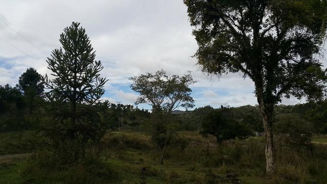 Terreno de 30.000m2 para chácara em Campo Alegre - Foto 9