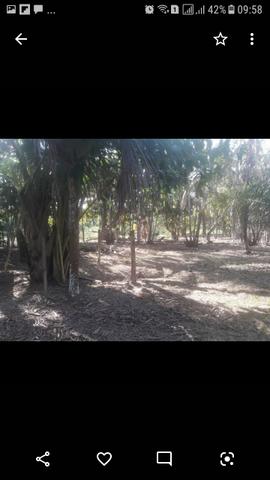 Vendo ou troco chácara - Foto 13