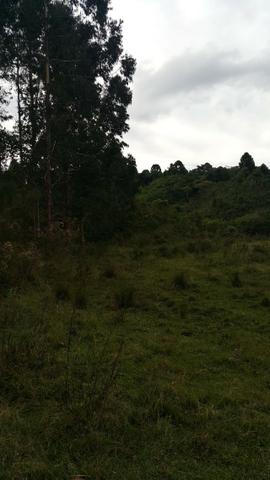 Terreno de 30.000m2 para chácara em Campo Alegre - Foto 7
