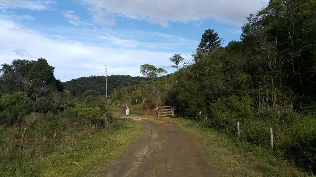 Terreno de 30.000m2 para chácara em Campo Alegre - Foto 16