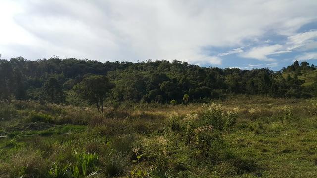 Terreno de 30.000m2 para chácara em Campo Alegre - Foto 18
