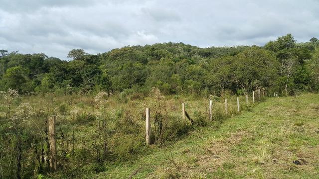 Terreno de 30.000m2 para chácara em Campo Alegre - Foto 6